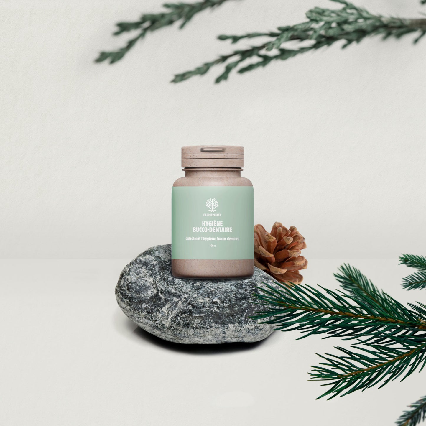 HYGIÈNE BUCO DENTAIRE